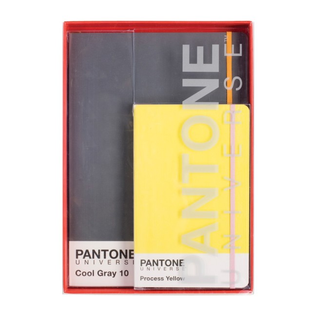 Pantone notebook set